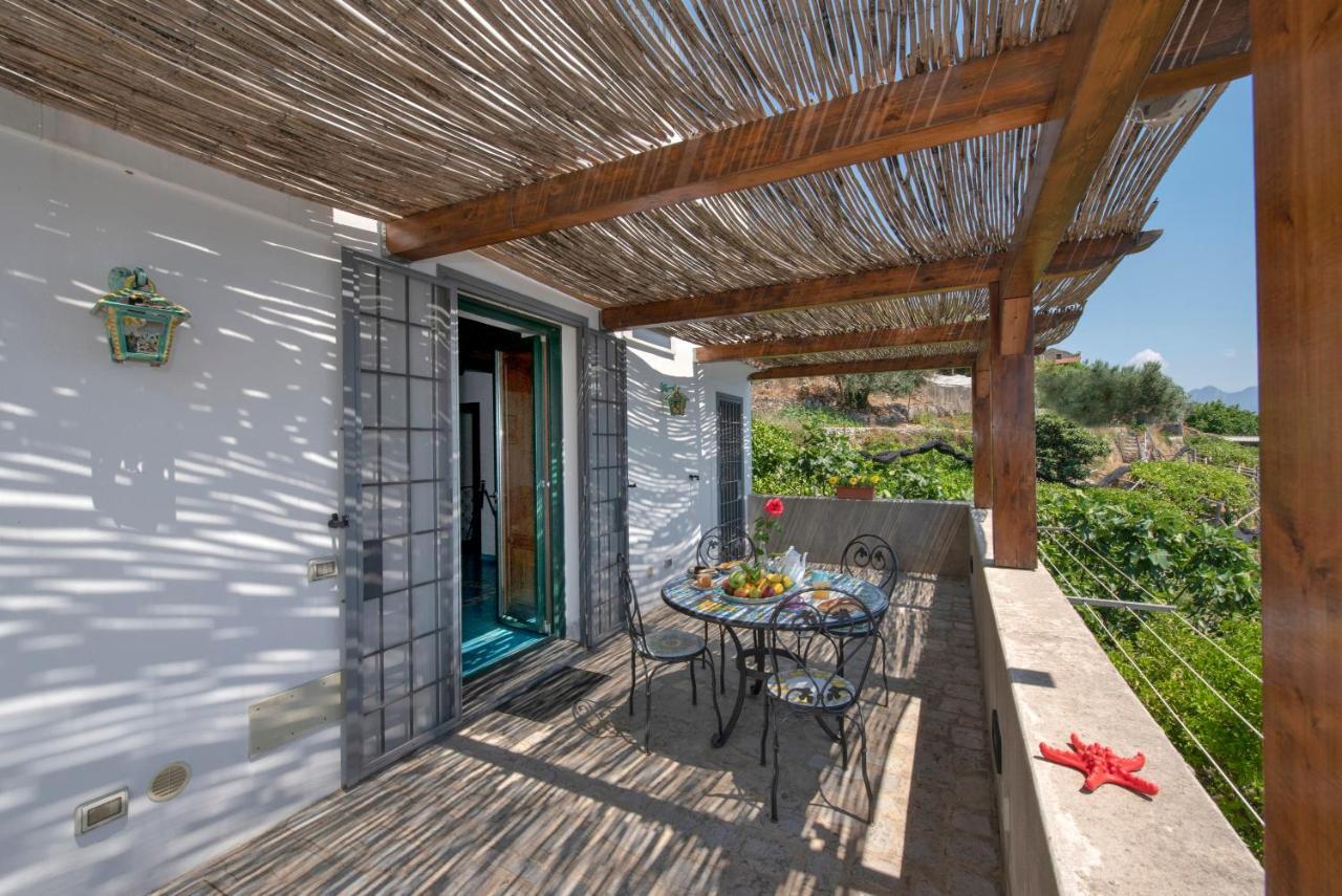 La Cascina - Villa Nenno コンカ・デイ・マリーニ エクステリア 写真